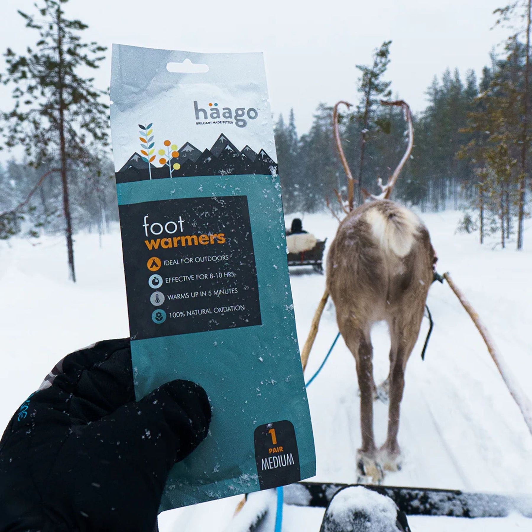 Why Do We Still Feel Cold in Good Clothing? A Practical Investigation Into Winter Comfort