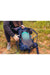 Gregory Amber 44 44L Lichen Green – official Gregory view 4
