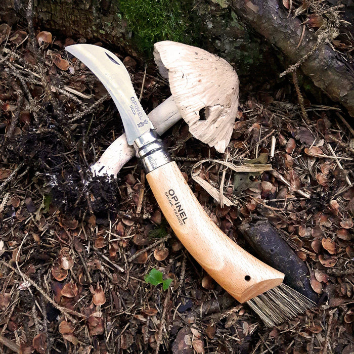 Mushroom Knife Opinel No.8 Stainless Steel