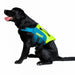Pet Life Vest - Jobe - Lime Teal - additional view 4