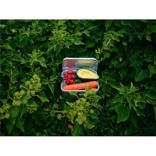 Lunch Box SIGG Aluminium L