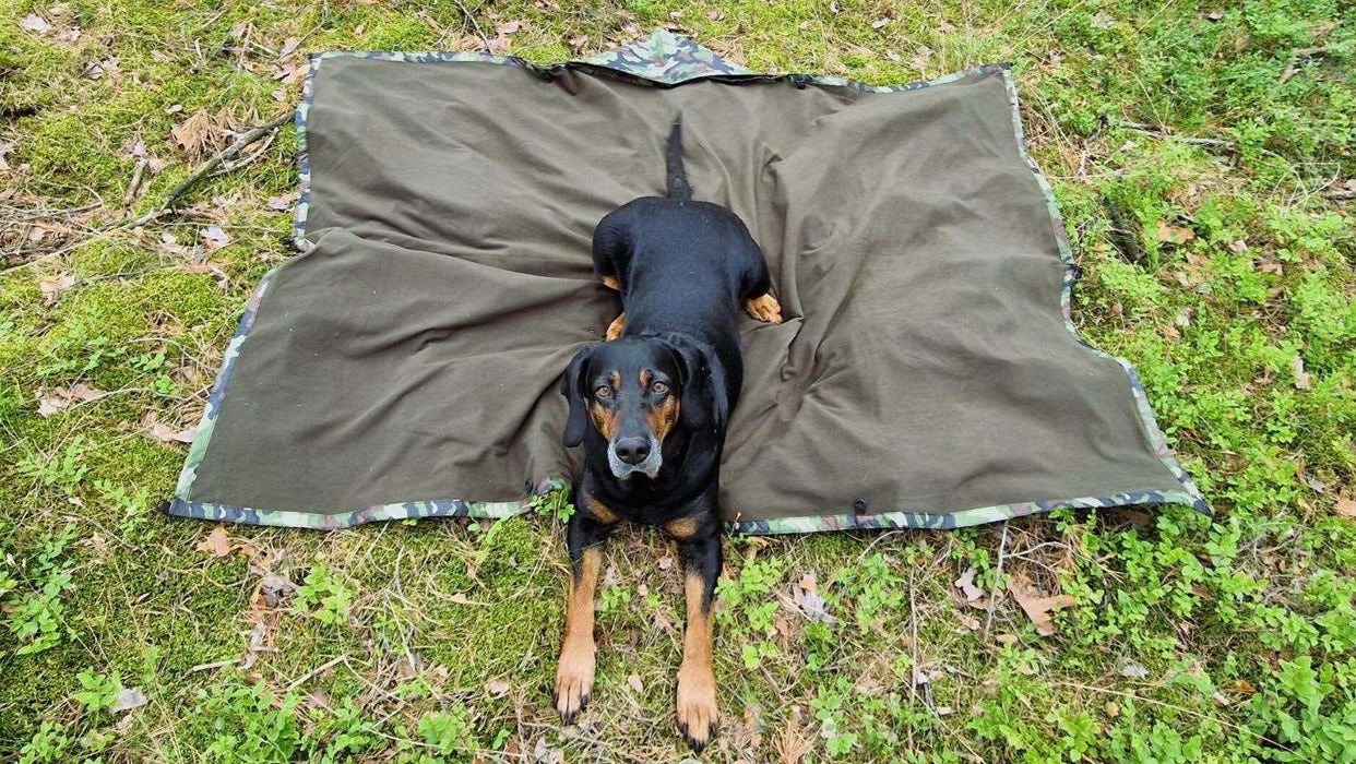  - Melns suns guļ uz BUSHMEN THERMO Segu/pončo/cārlītes, kas ir izvietota zaļā zālainā vietā. Thermo-pončo/kvalitātes termo sega ar camo dizainu un 750g. Bushmen