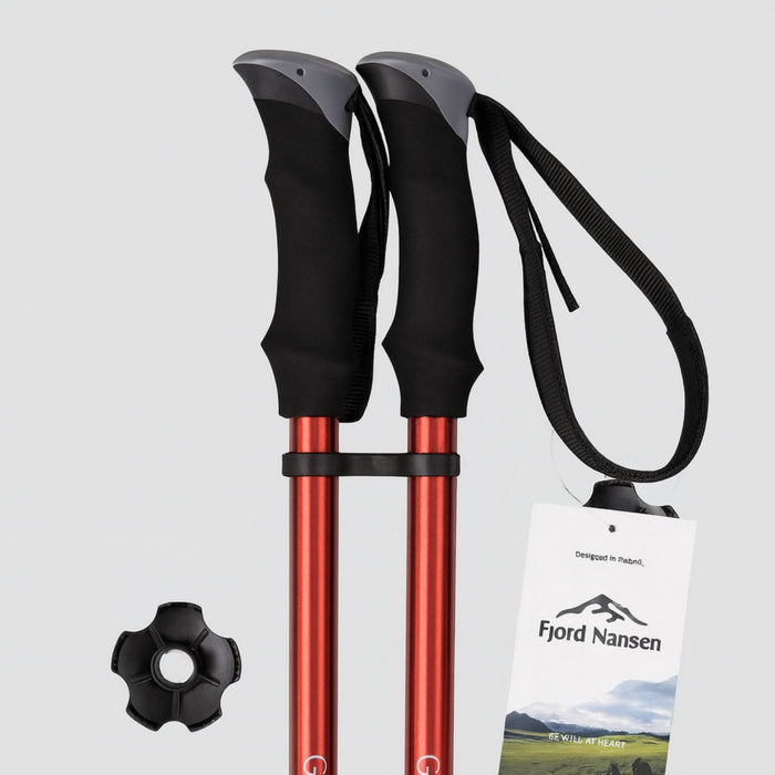 Divas Nūjošanas nūjas trekingam Fjord Nansen GRAVEL 2.0