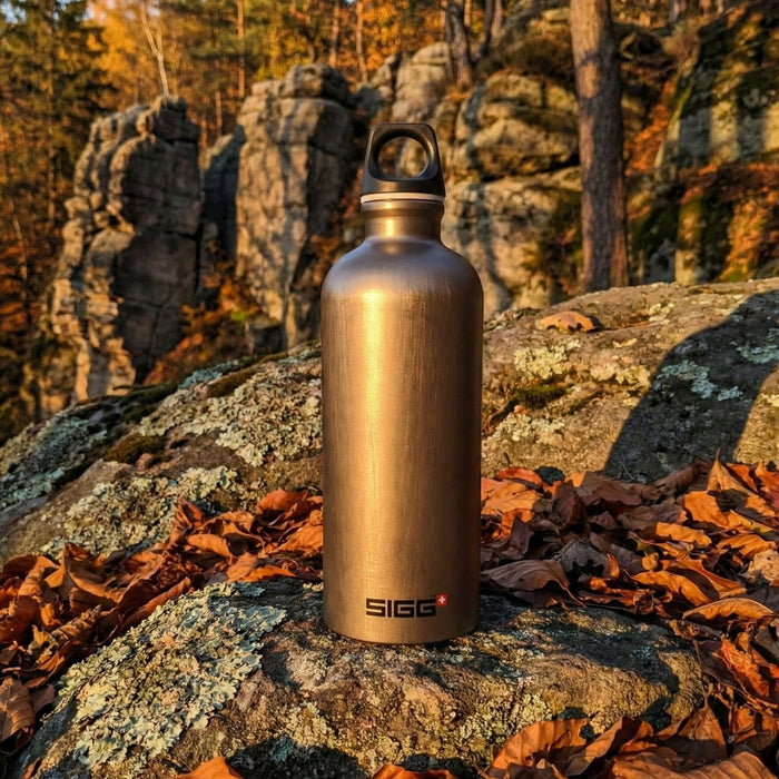 Alumīnija Ūdens pudele SIGG Traveller Dūmu pērle 0.6L