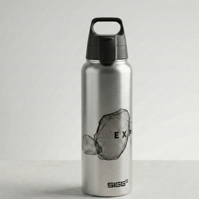 Бутылка для воды SIGG WMB One Pathfinder алюминиевая 1 л