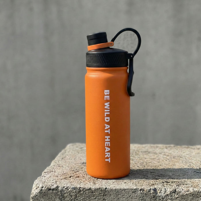 Termopudele Fjord Nansen Kaldi Steel nerūsējošais tērauds salmiņš  650 ml Oranža