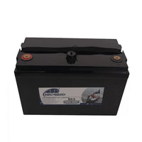 Energy Research MINN-LITHIUM-12V 12V 100Ah battery