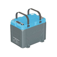 RoyPow S12100C 12V 100Ah LiFePO4 battery
