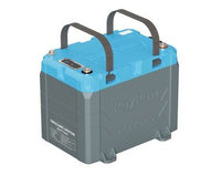 RoyPow S12100C 12V 100Ah LiFePO4 battery
