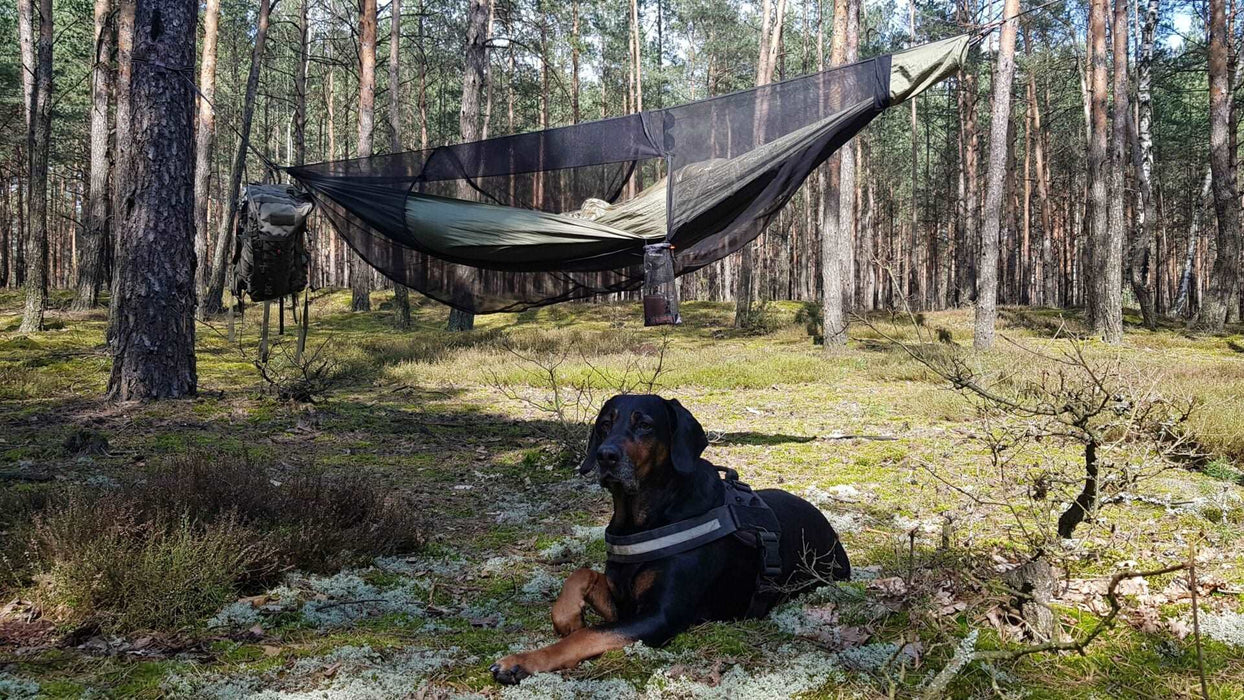 Šūpuļtīkls ar Insektu tīklu
- Ultragaisma Bushmen Jungle Hammock komplekts ar insektu tīklu piekārts starp kokiem mežā
- Melns suns guļ pie zemes tuvumā piekārtajai šūpuļtīklam