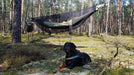 Šūpuļtīkls ar Insektu tīklu
- Ultragaisma Bushmen Jungle Hammock komplekts ar insektu tīklu piekārts starp kokiem mežā
- Melns suns guļ pie zemes tuvumā piekārtajai šūpuļtīklam