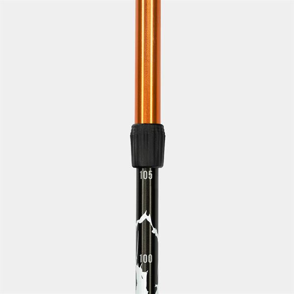 Alpinus Kungsleden Nordic Walking Poles